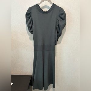 Ted Baker Sage Green Skater Dress